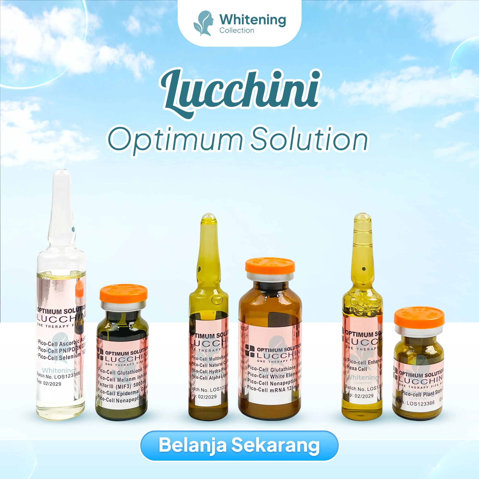 lucchinioptimum