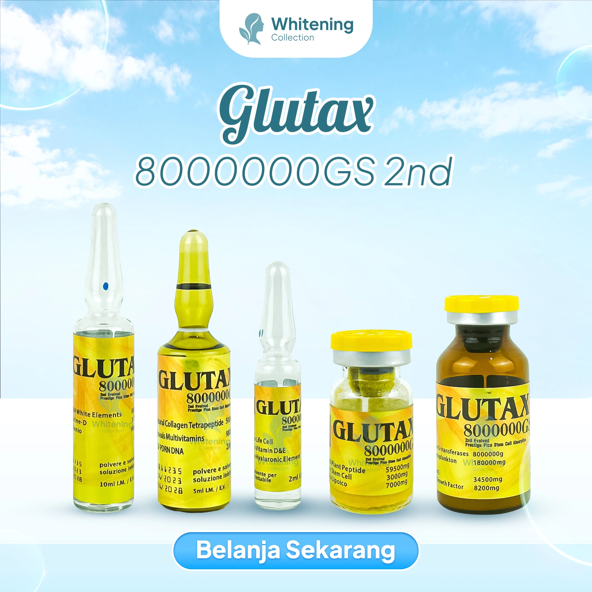 8000000gs2